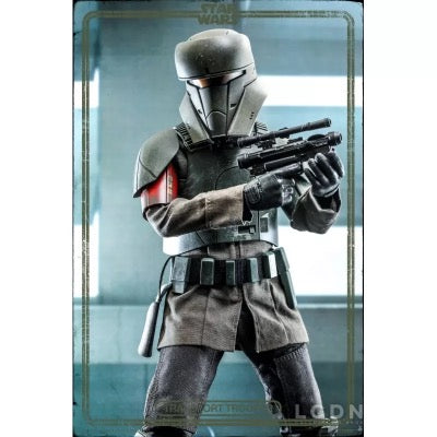 Hot Toys - STAR WARS: Transport Trooper TMS030