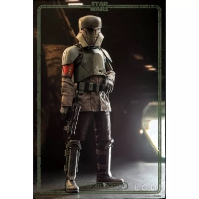 Hot Toys - STAR WARS: Transport Trooper TMS030