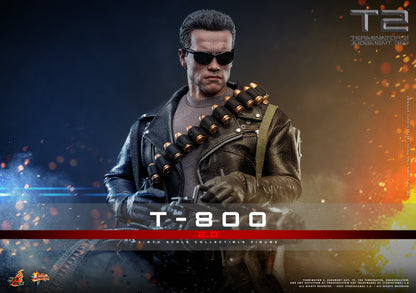 Hot Toys – MMS795 – Terminator 2: Judgment Day: T-800 (2.0) 1/6th scale Collectible Figure