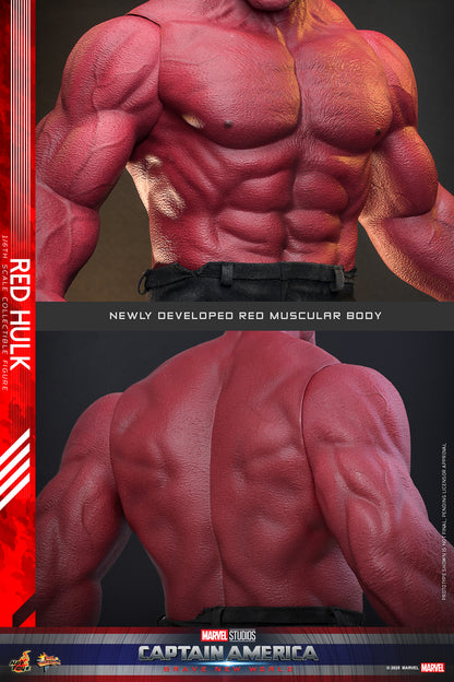 Hot Toys – MMS797 – Captain America: Brave New World: Red Hulk  1/6th scale Collectible Figure