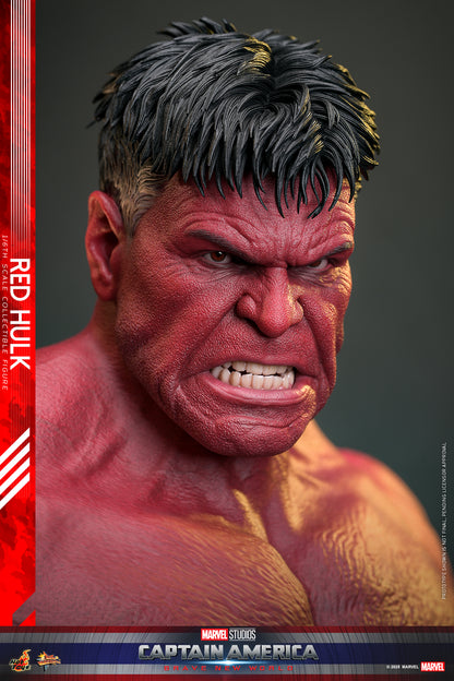 Hot Toys – MMS797 – Captain America: Brave New World: Red Hulk  1/6th scale Collectible Figure