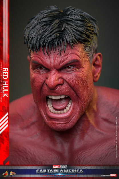 Hot Toys – MMS797 – Captain America: Brave New World: Red Hulk  1/6th scale Collectible Figure