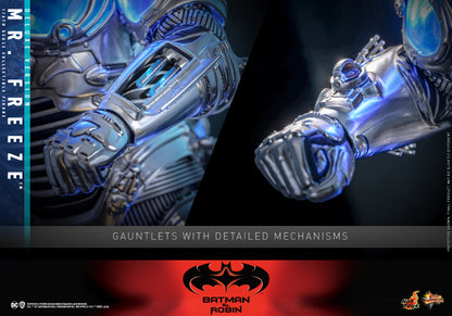 Hot Toys – MMS800 – Batman & Robin: Mr. Freeze (Deluxe Version) 1/6th scale Collectible Figure