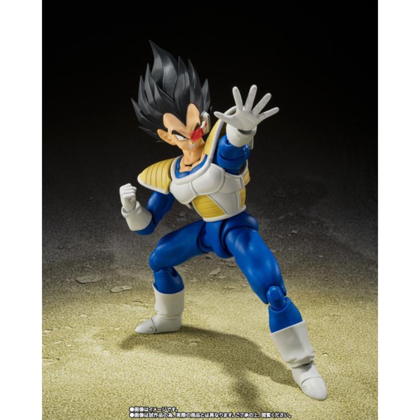 S.H.FIGUARTS - Dragon Ball Z Vegeta 24000 Power Level - 66124-1